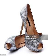 Silver Hawk Luxury Shoes